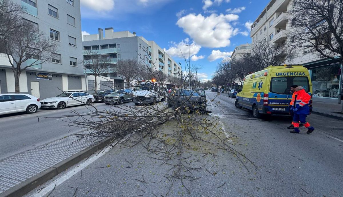 accidente avenida caballero bonald jerez:4