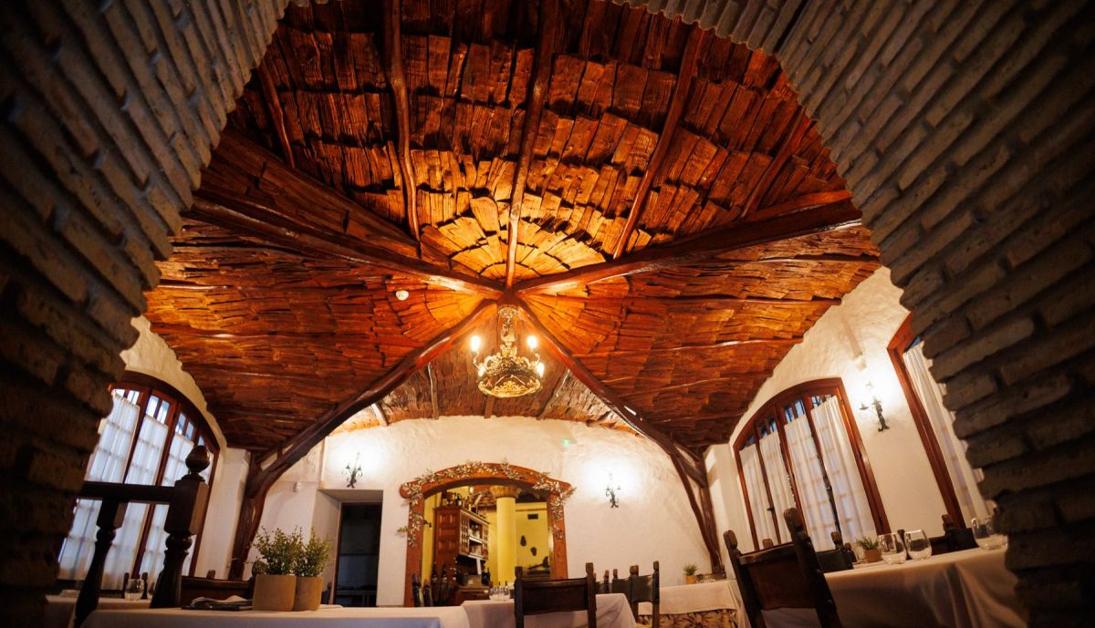 VENTA PINTO VEJER 23