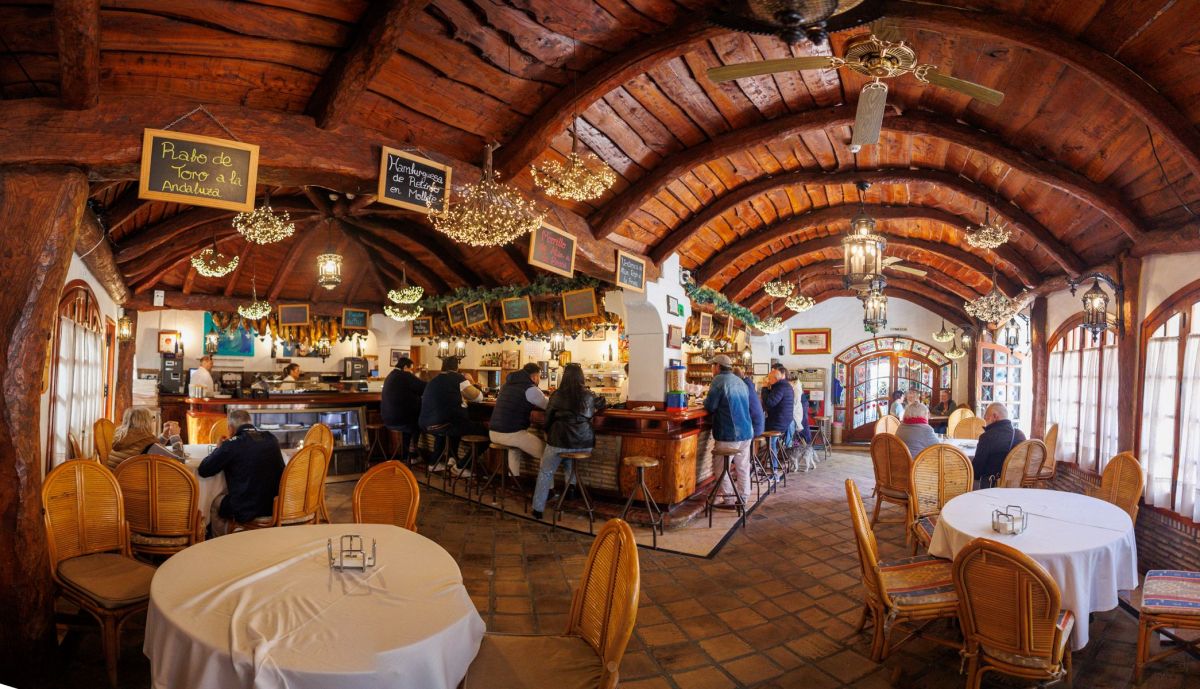 VENTA PINTO VEJER 25