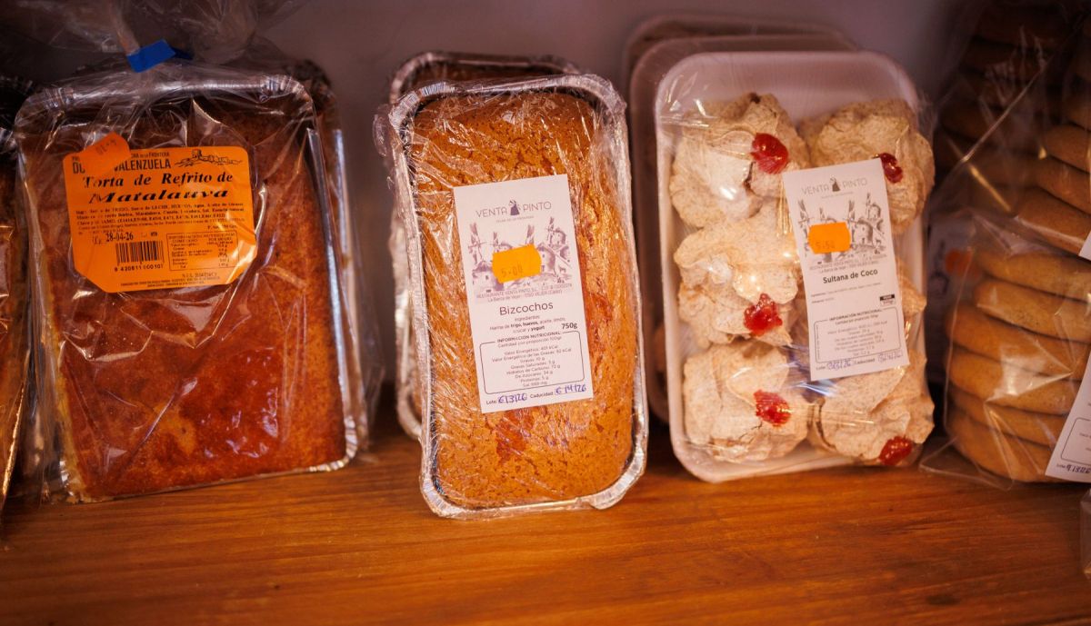 VENTA PINTO VEJER 34