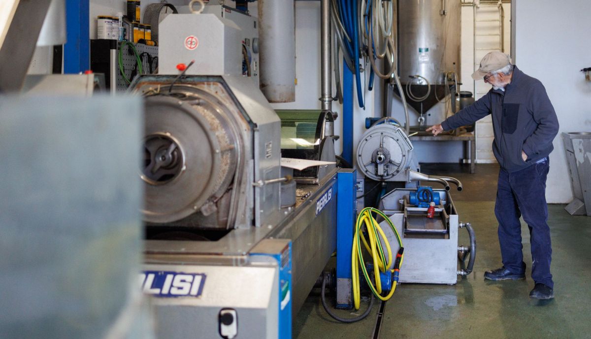 BODEGA SANCHA PEREZ VIÑA ECOLOGICA 22