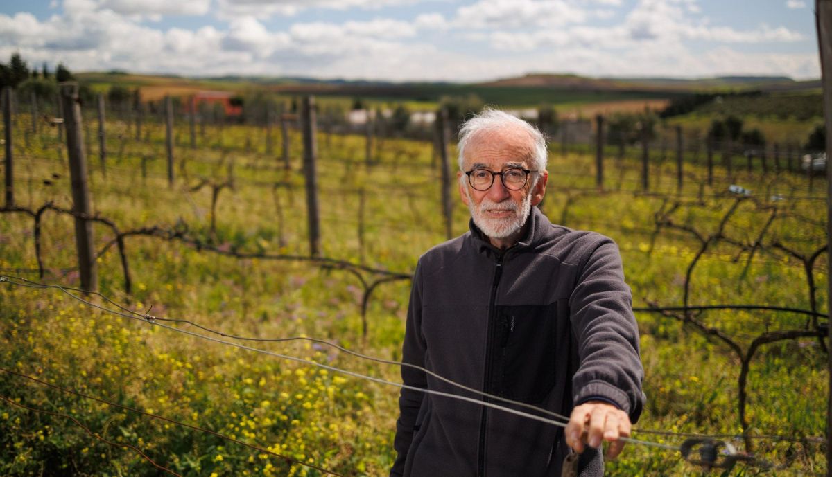 BODEGA SANCHA PEREZ VIÑA ECOLOGICA 25
