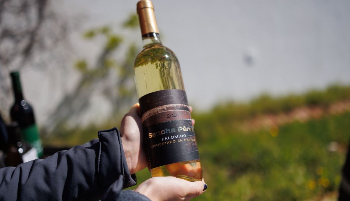 BODEGA SANCHA PEREZ VIÑA ECOLOGICA 30