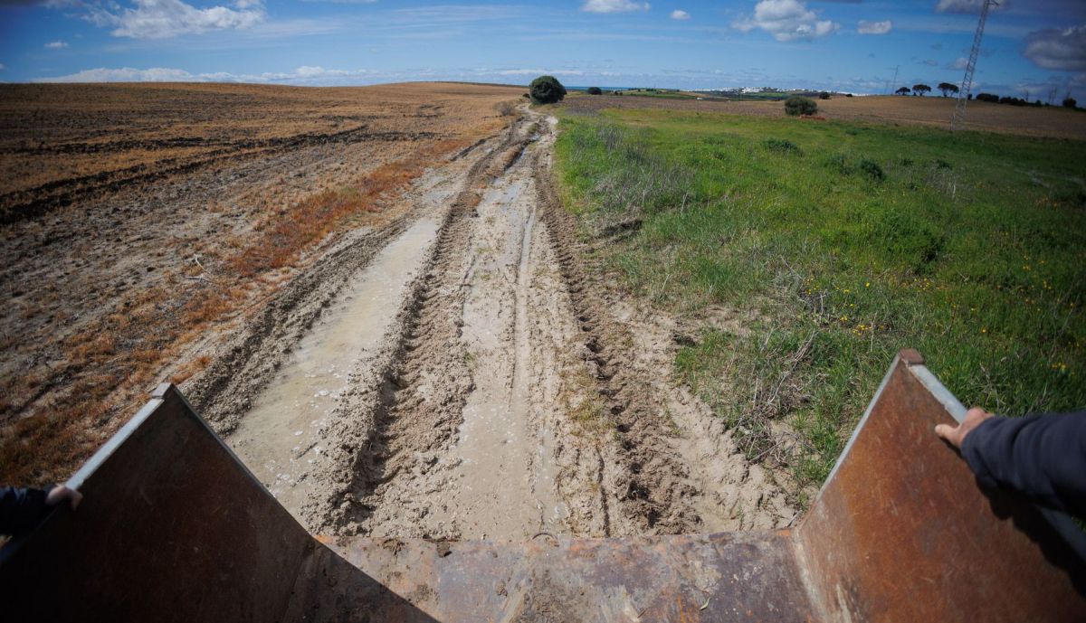 CARRIL BODEGA SANCHA PEREZ 6