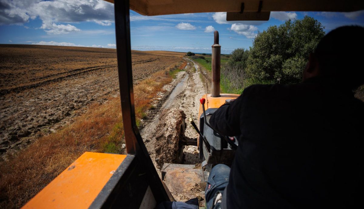 CARRIL BODEGA SANCHA PEREZ 8
