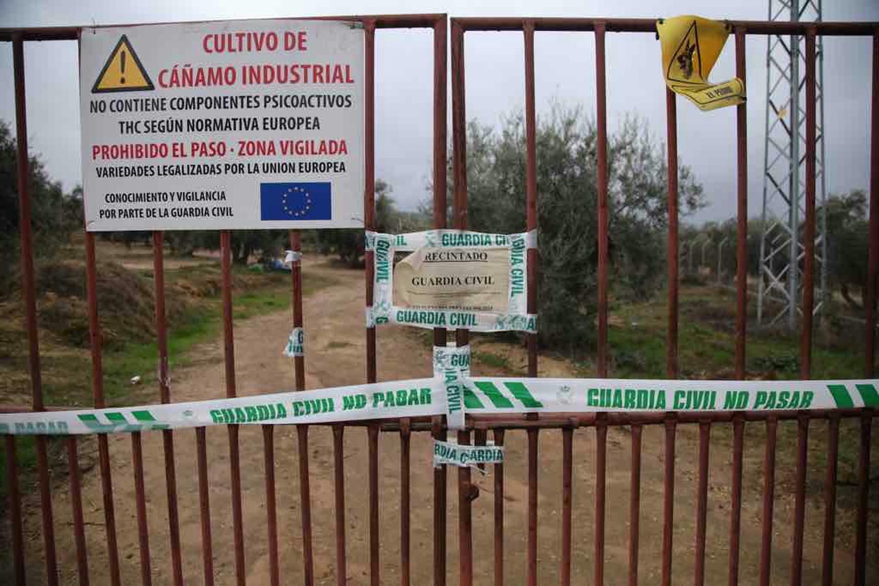 La finca de Setenil, en 2019, tras la intervención de Guardia Civil.