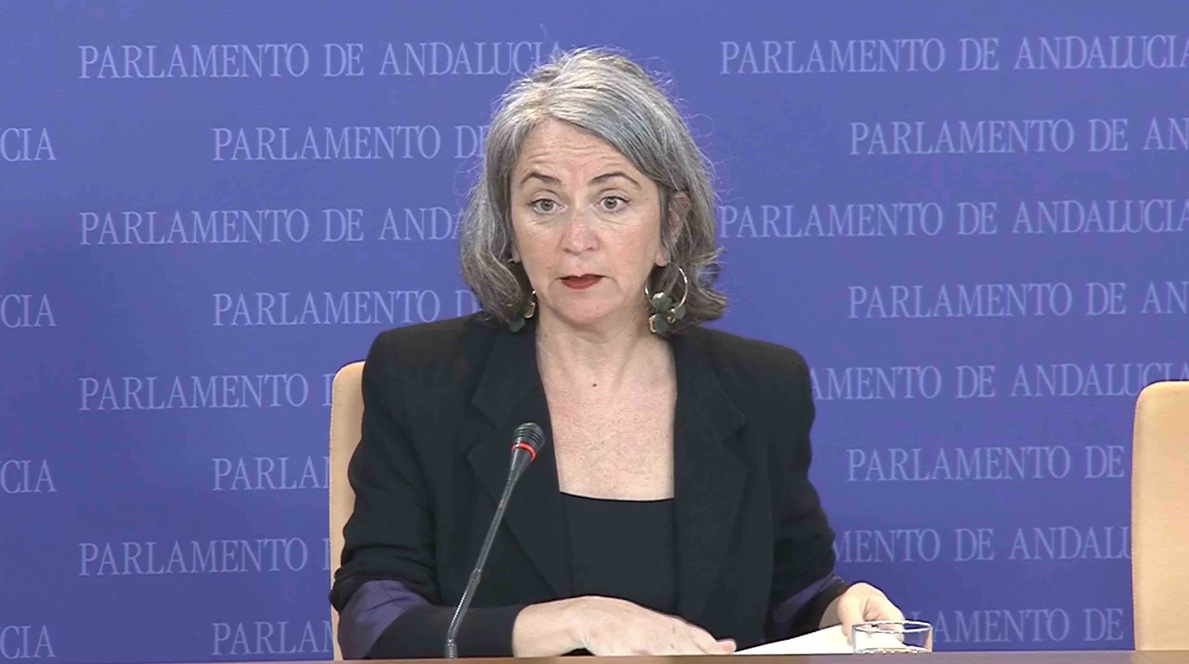 La parlamentaria de Adelante Begoña Iza.