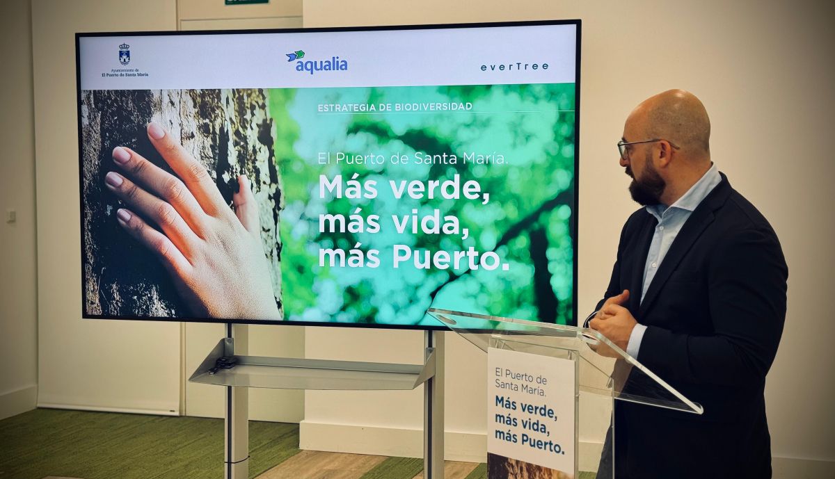 Presentación de los proyectos.