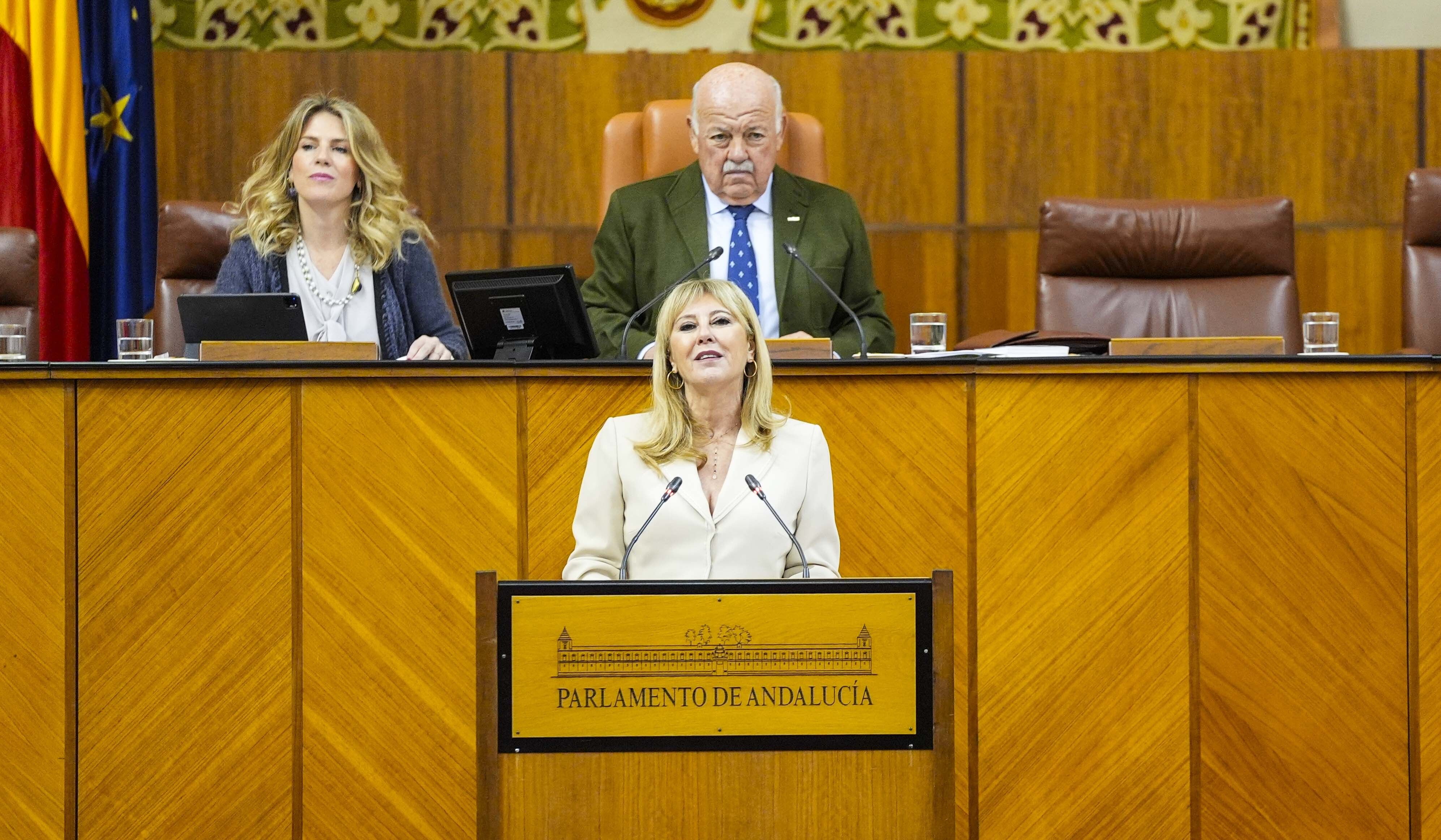 Carolina España, en el Parlamento, este miércoles.