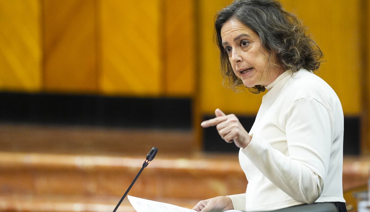 Catalina García, consejera de Sostenibilidad y Medio Ambiente, responde a la pregunta de su competencia.