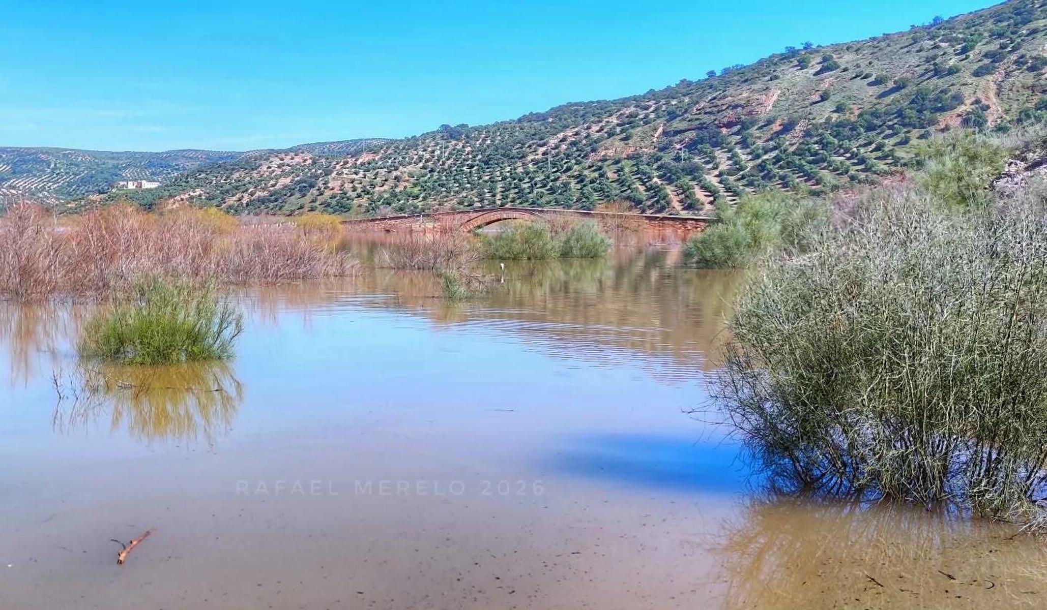 Imagen del estado del Puente Ariza de Jaén el pasado mes de febrero