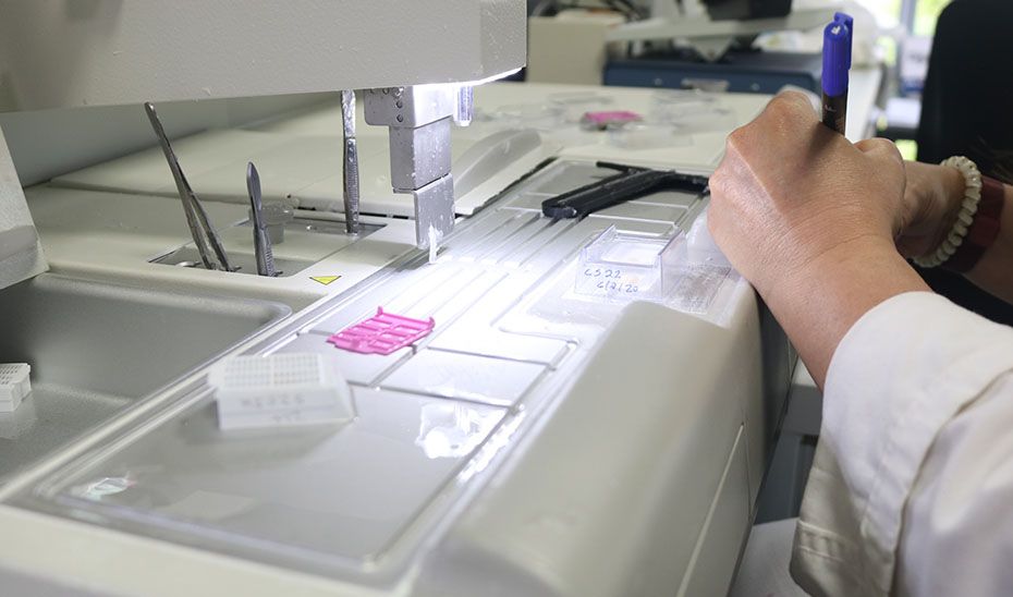 Trabajo de laboratorio, en Andalucía. Trabajo de laboratorio, en Andalucía.