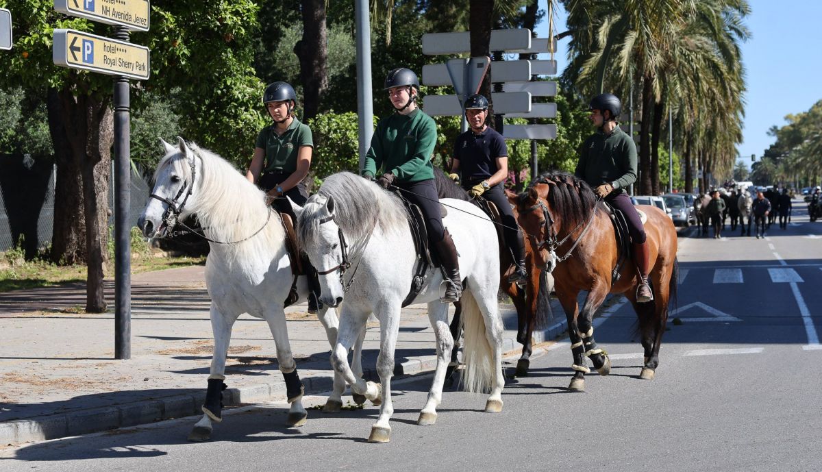 Vuelta a casa caballos real escuela 7