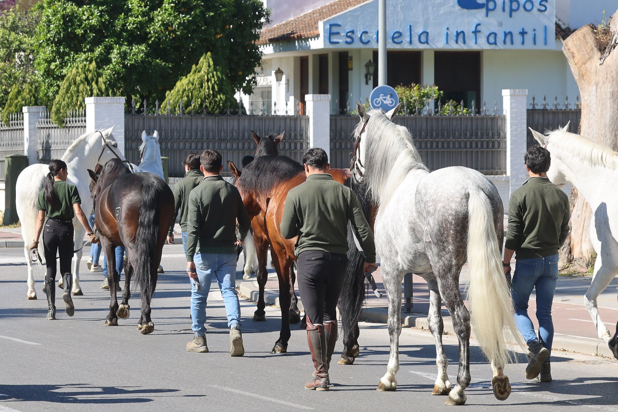 Miembros de la Real Escuela, volviendo al Recreo de las Cadenas, en una imagen reciente por la Avenida en Jerez. Miembros de la Real Escuela, volviendo al Recreo de las Cadenas, en una imagen reciente por la Avenida en Jerez.