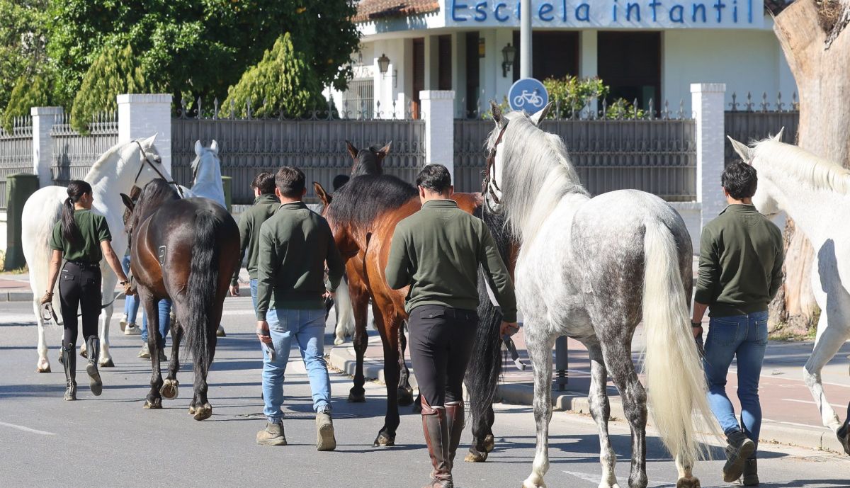 Vuelta a casa caballos real escuela 2
