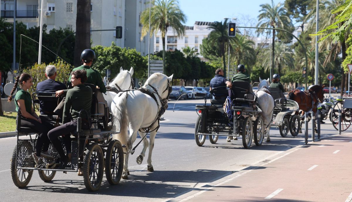 Vuelta a casa caballos real escuela