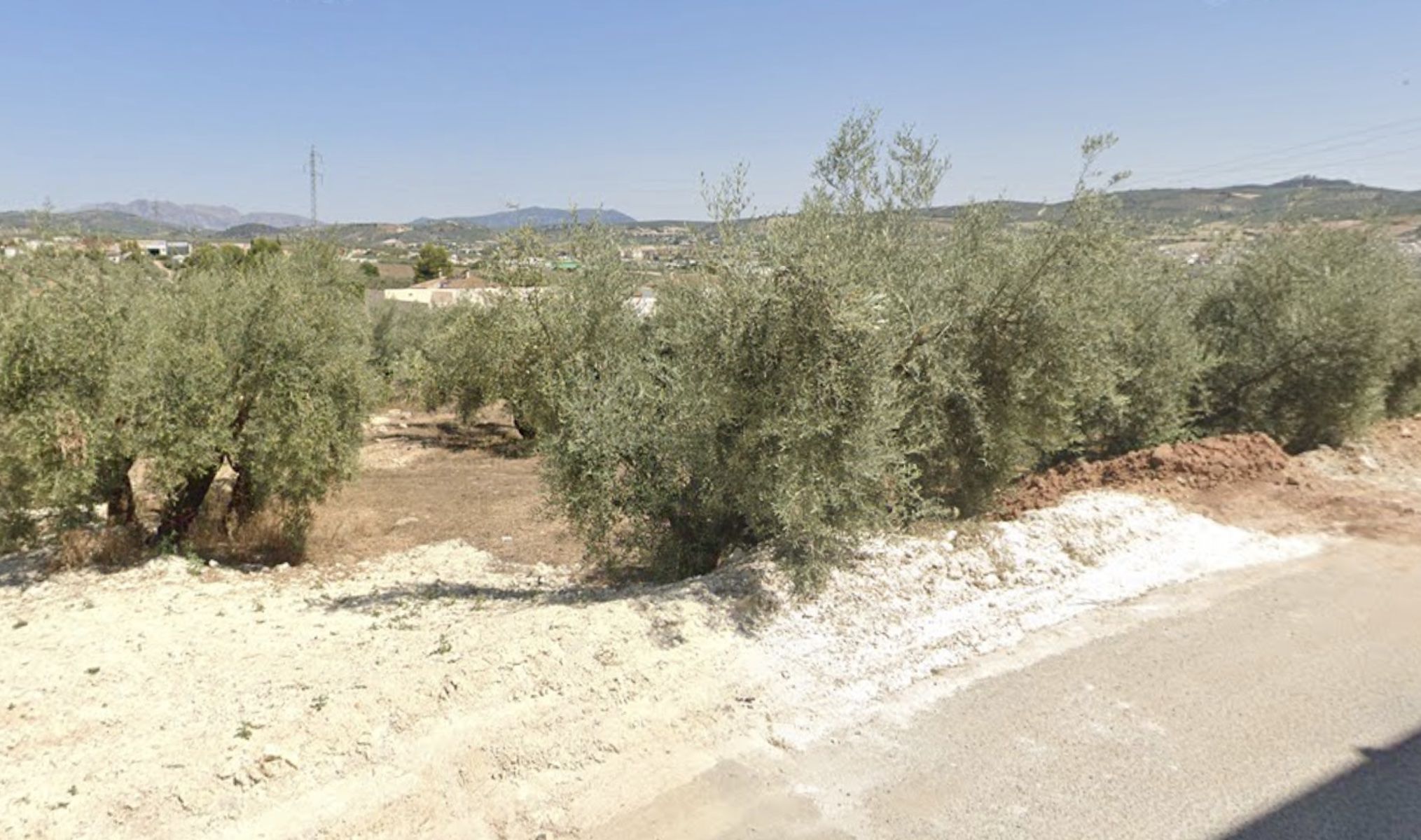 Encuentran un cadáver en un olivar de Las Peñuelas, en Lucena, mientras buscan a un vecino desaparecido.
