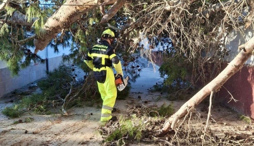 WhatsApp Image 2026 03 17 at 17.01.33