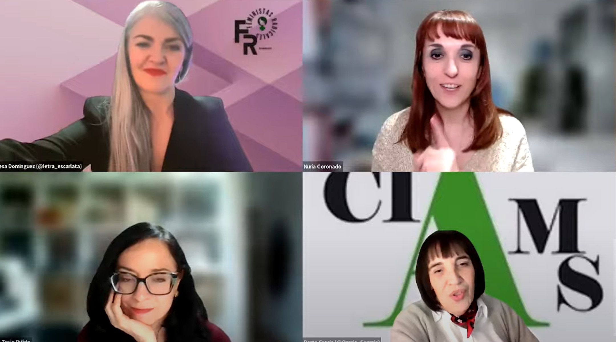 Algunas de las expertas que han reflexionado sobre la gestación subrogada.