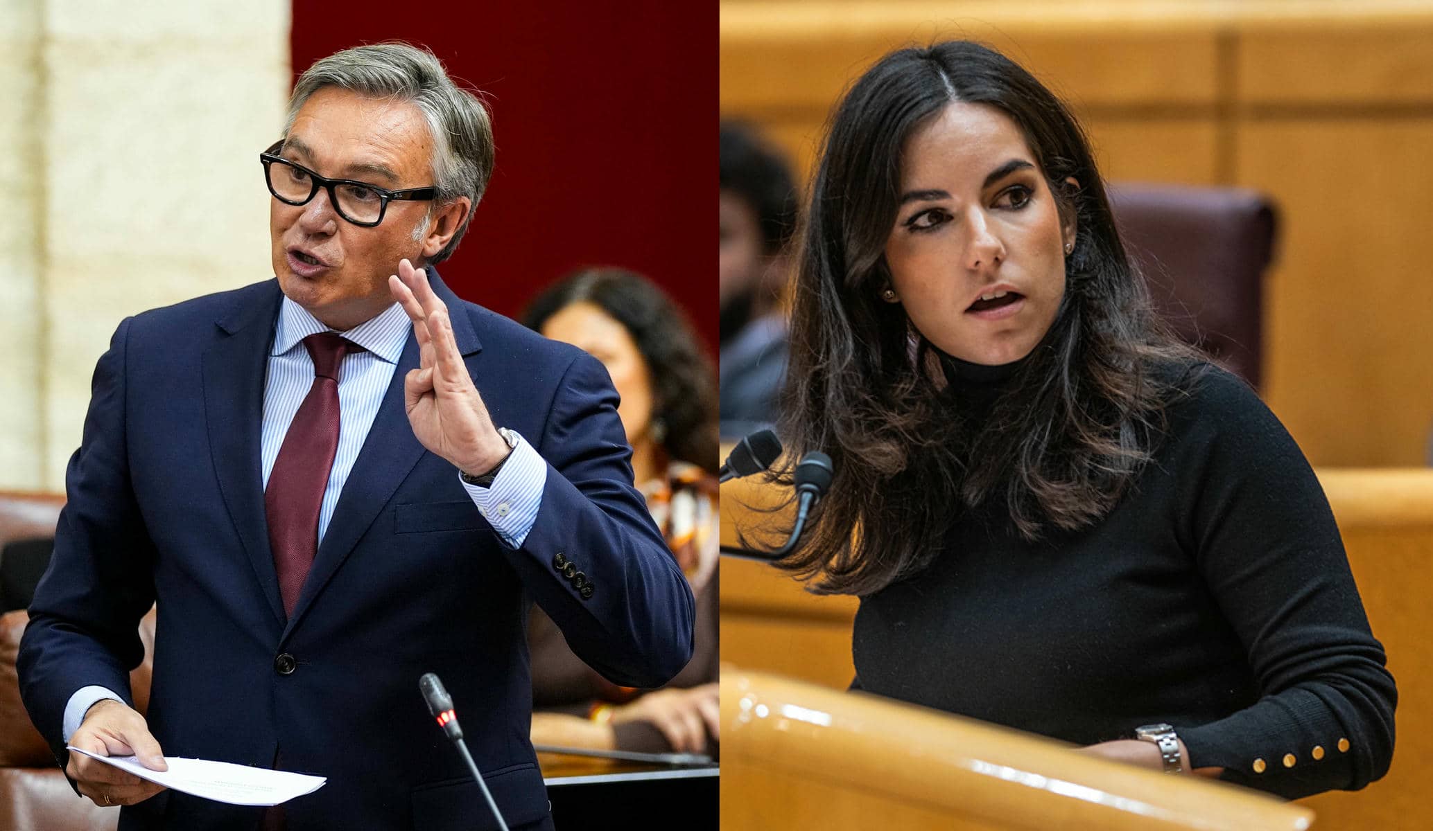 Manuel Gavira y Pepa Millán, en sendas intervenciones parlamentarias.