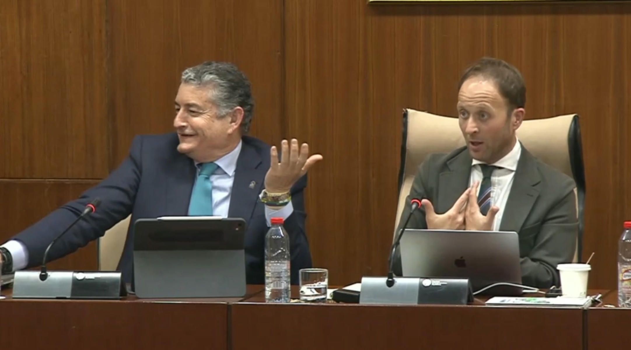 Un momento de uno de los rifirrafes de la comisión de Sanidad del Parlamento.