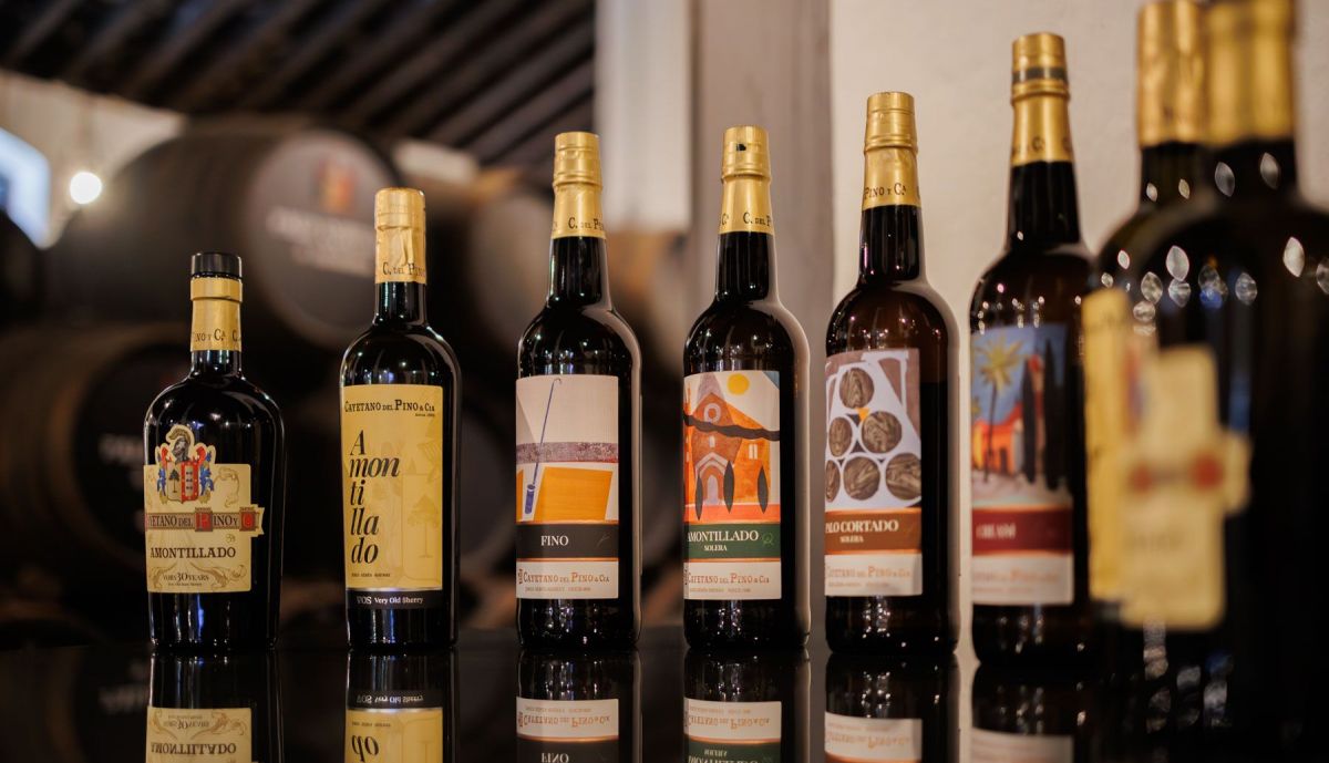 CAYETANO DEL PINO 13