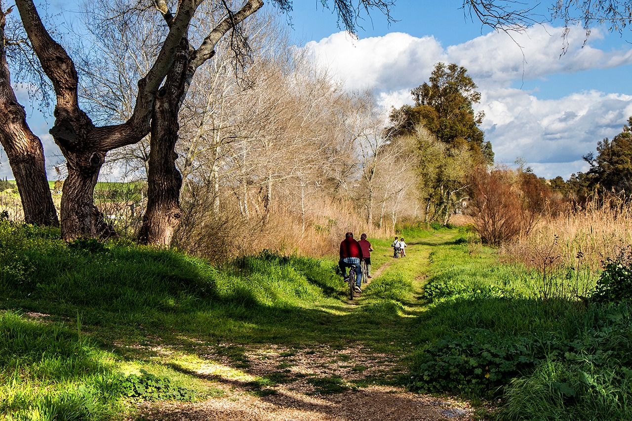 Uno de los bosques que se pueden encontrar en Jerez. Uno de los bosques que se pueden encontrar en Jerez.