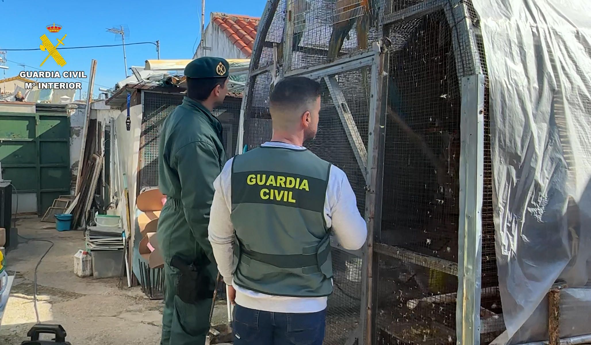 Agentes de la Guardia Civil durante la intervención de más de 500 ejemplares de aves exóticas protegidas en Estella del Marqués, en Jerez