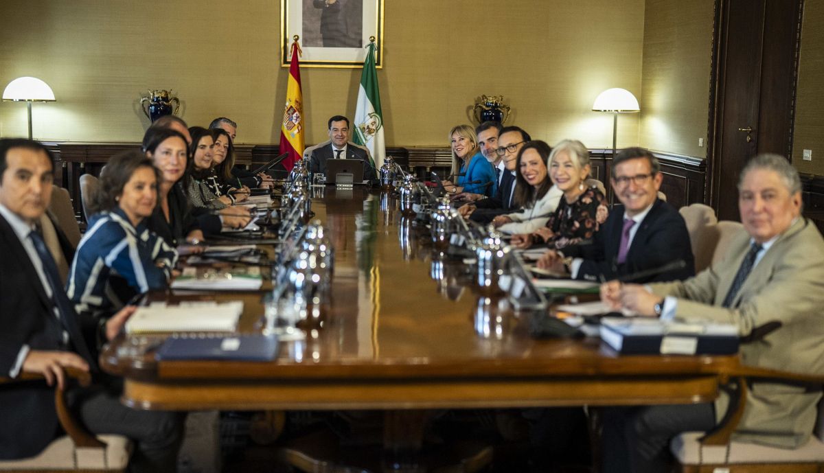 El Consejo de Gobierno, este miércoles.