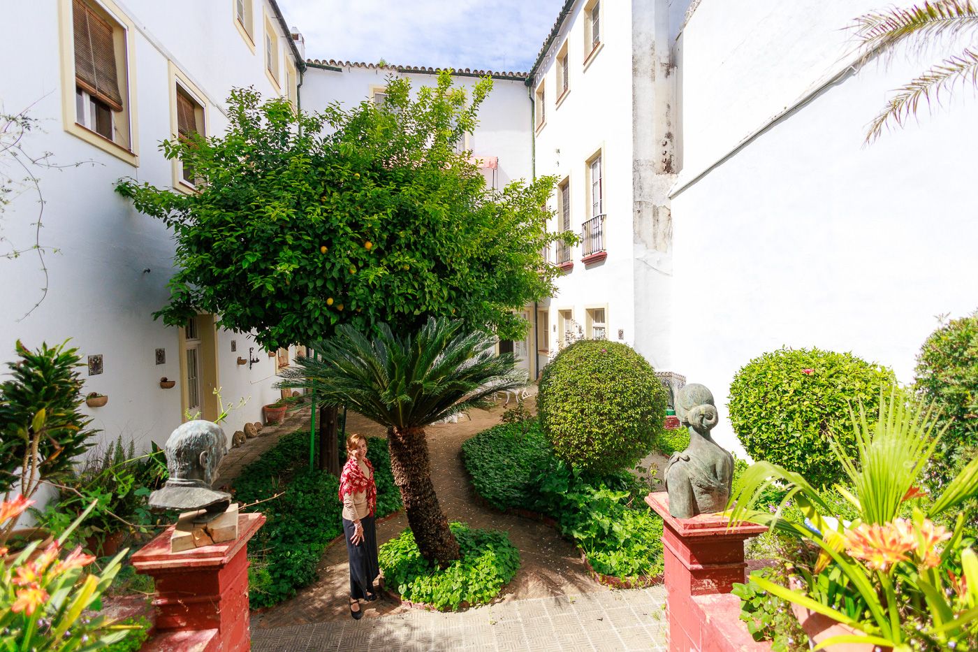 El jardín de la vivienda, la casa señorial Don Zoilo, ubicada en la calle Pedro Alonso. El jardín de la vivienda, la casa señorial Don Zoilo, ubicada en la calle Pedro Alonso.