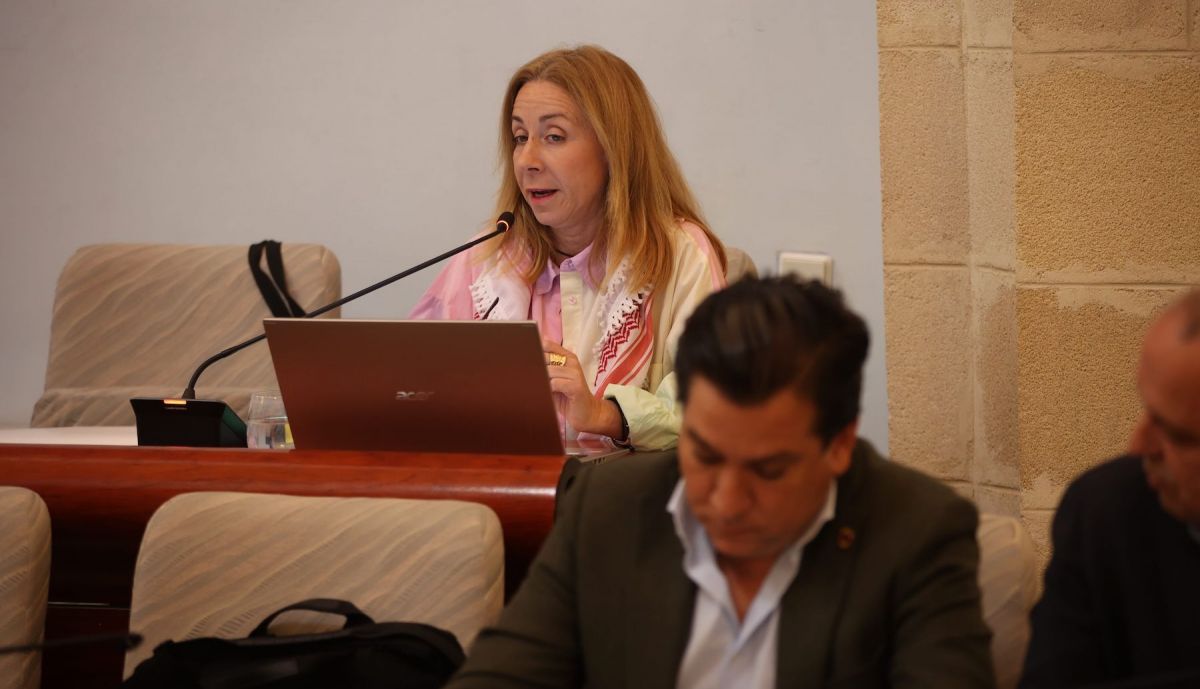 Pleno Jerez marzo Majorel 1