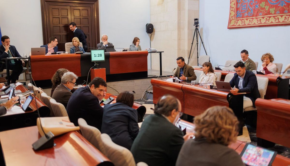 PLENO MUNICIPAL JEREZ MARZO 2026 36