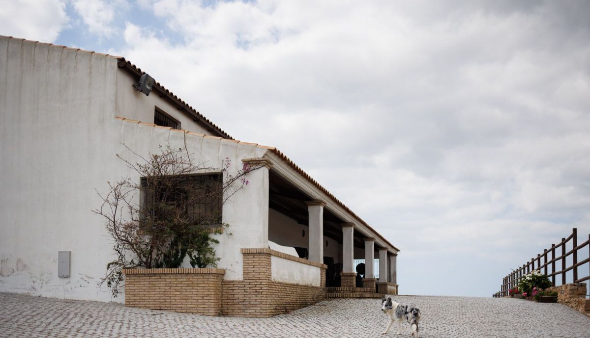 VIÑA LA PINTORA TINTILLA DE ROTA JOSE CARLOS 12