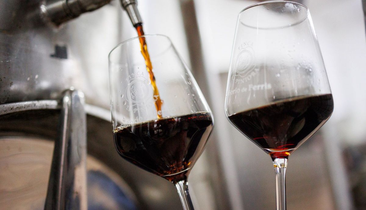 VIÑA LA PINTORA TINTILLA DE ROTA JOSE CARLOS 20