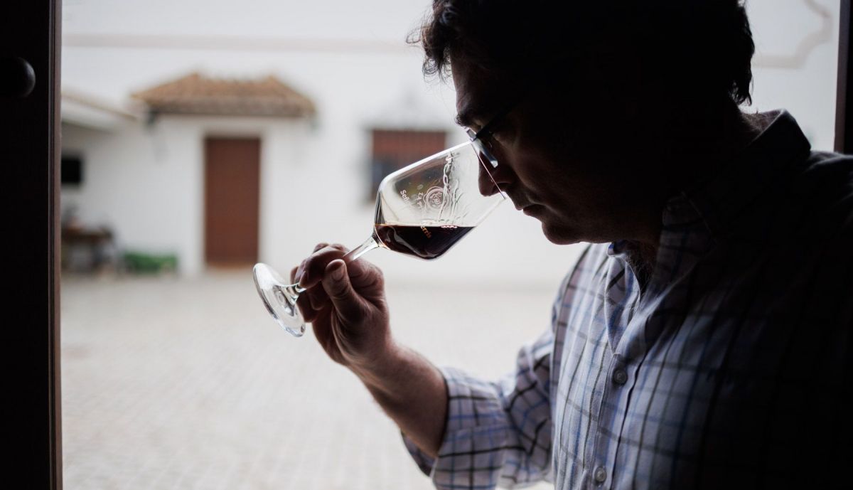 VIÑA LA PINTORA TINTILLA DE ROTA JOSE CARLOS 23