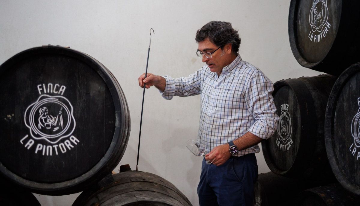 VIÑA LA PINTORA TINTILLA DE ROTA JOSE CARLOS 25