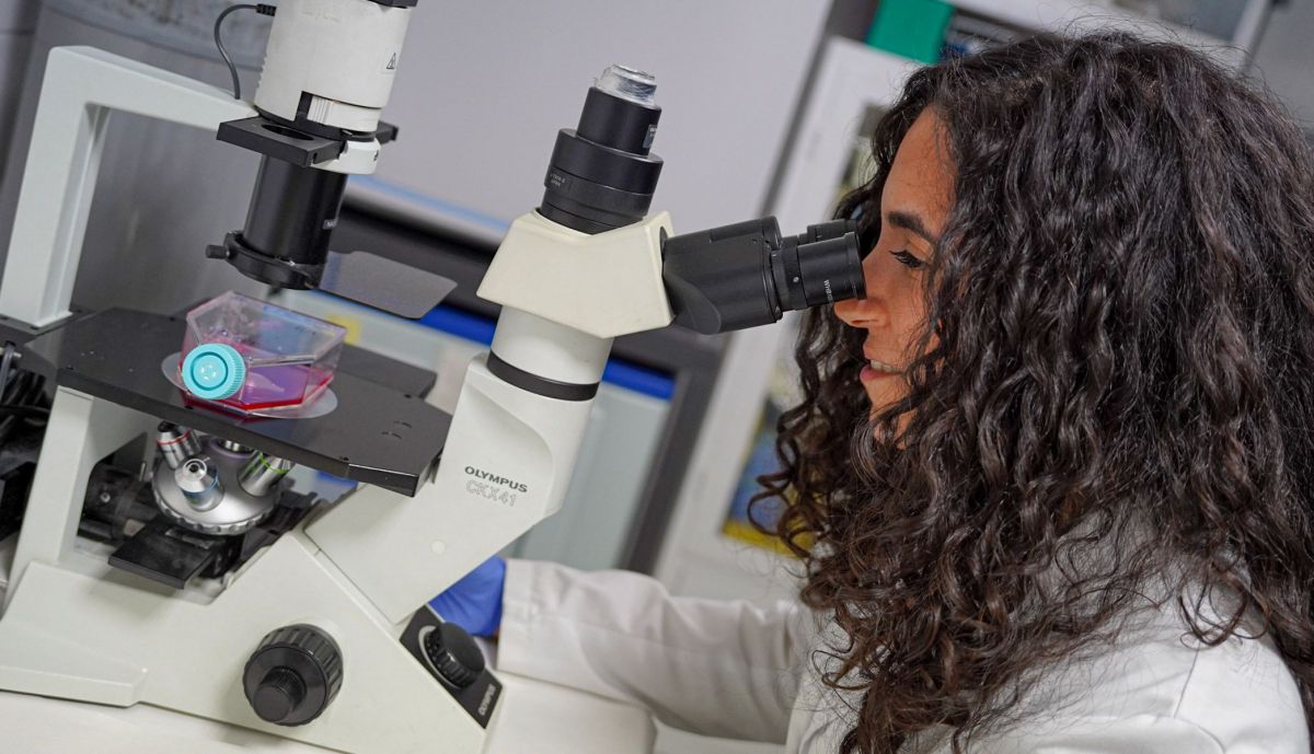 rocio munoz aceite de oliva artritis facultad farmacia departamento farmacologia universidad de sevilla 6