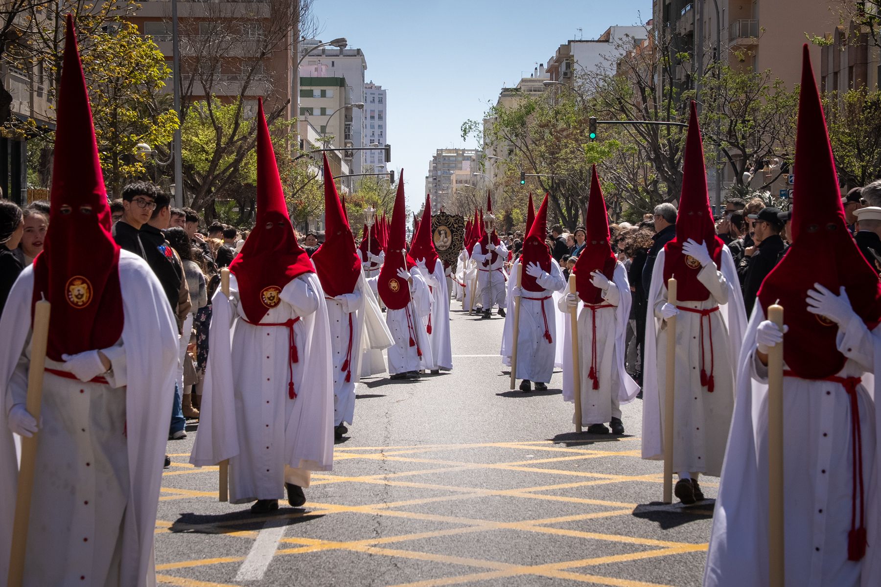 Domingo de Ramos de luz y viento: Cádiz estrena el palio de la Reina de Todos los Santos
