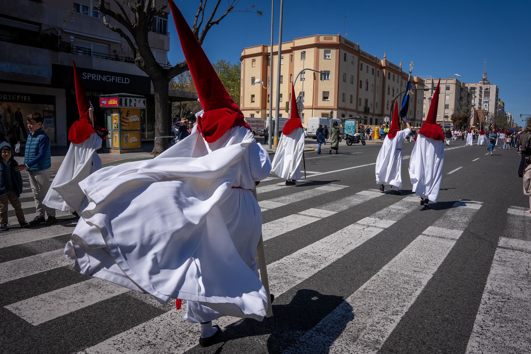Domingo de Ramos de luz y viento: Cádiz estrena el palio de la Reina de Todos los Santos