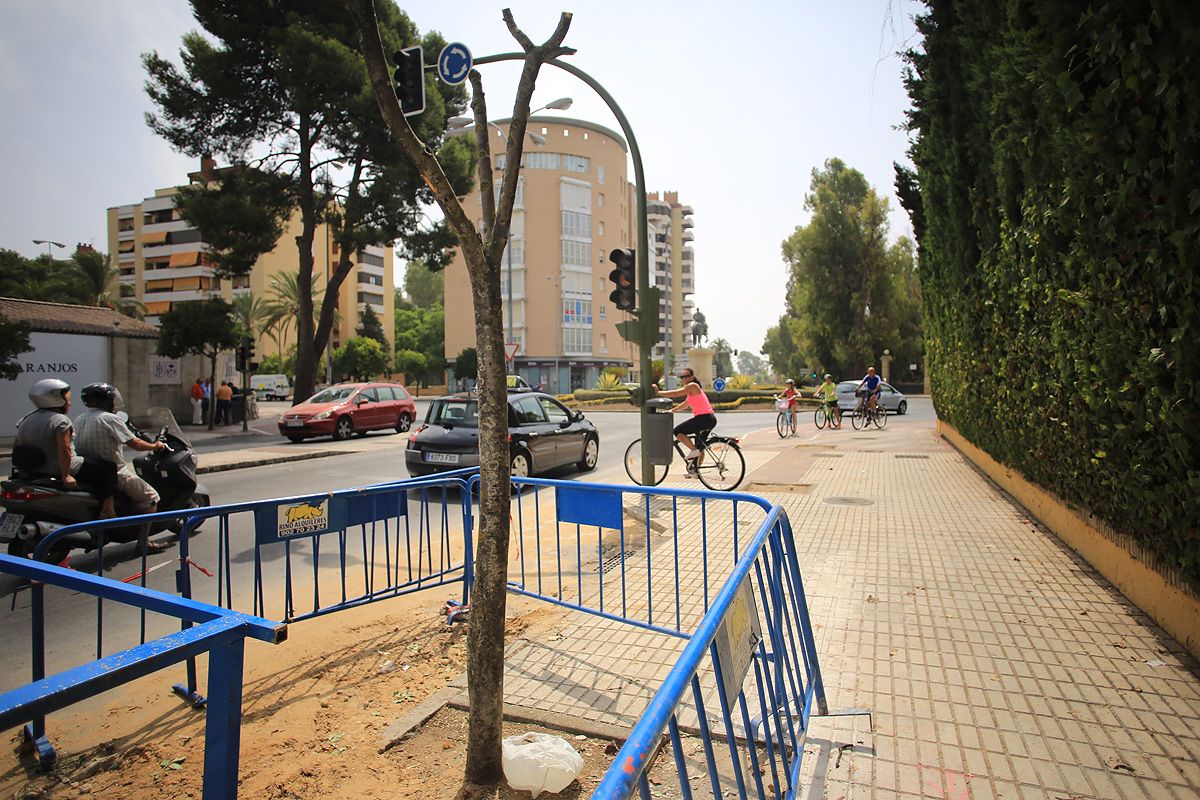 arboles_carril_bici01.jpg