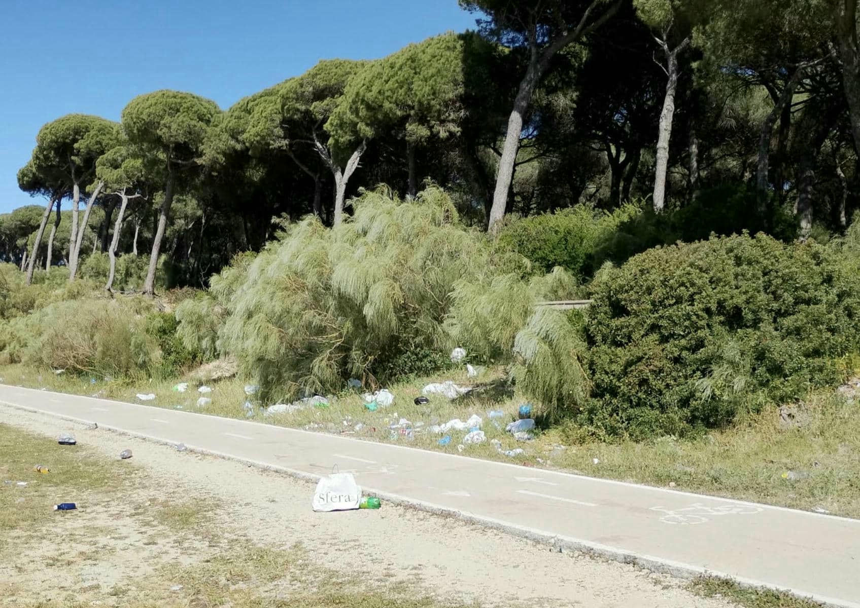 Residuos acumulados en el pinar de Puerto Sherry en El Puerto.