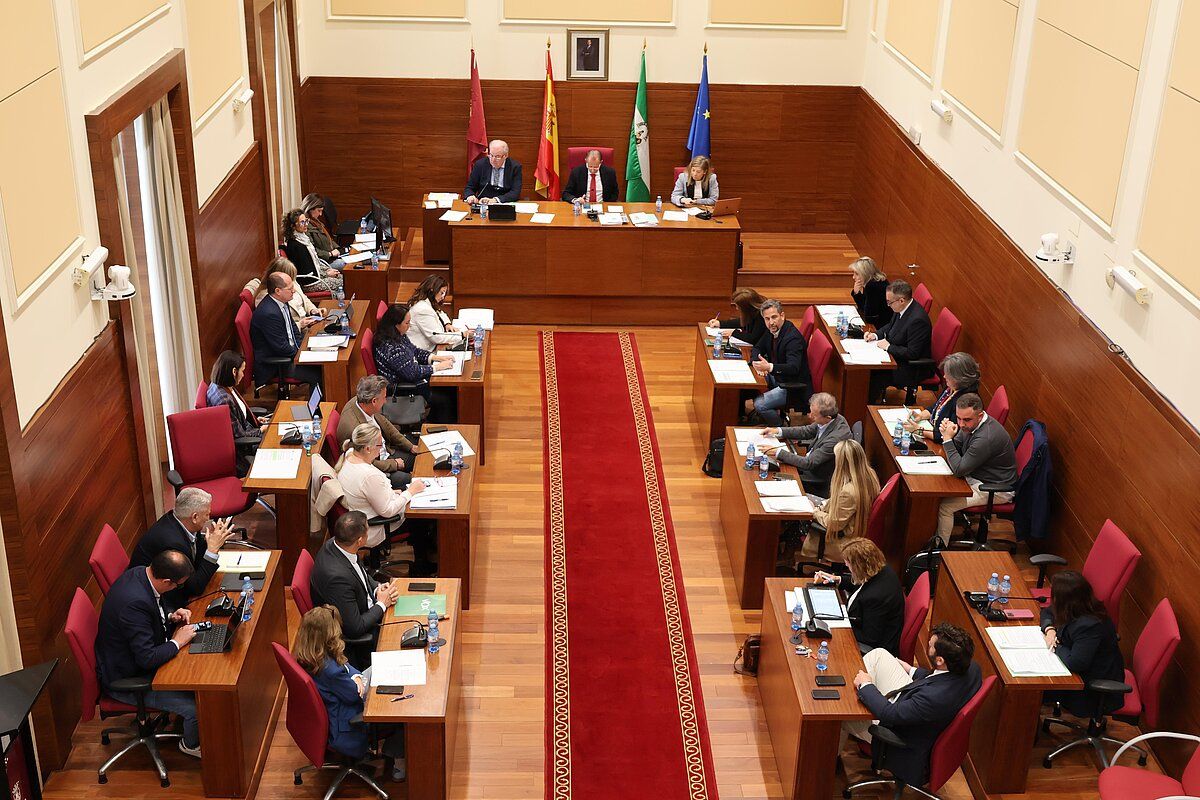 Pleno de marzo del Ayuntamiento de Chiclana.