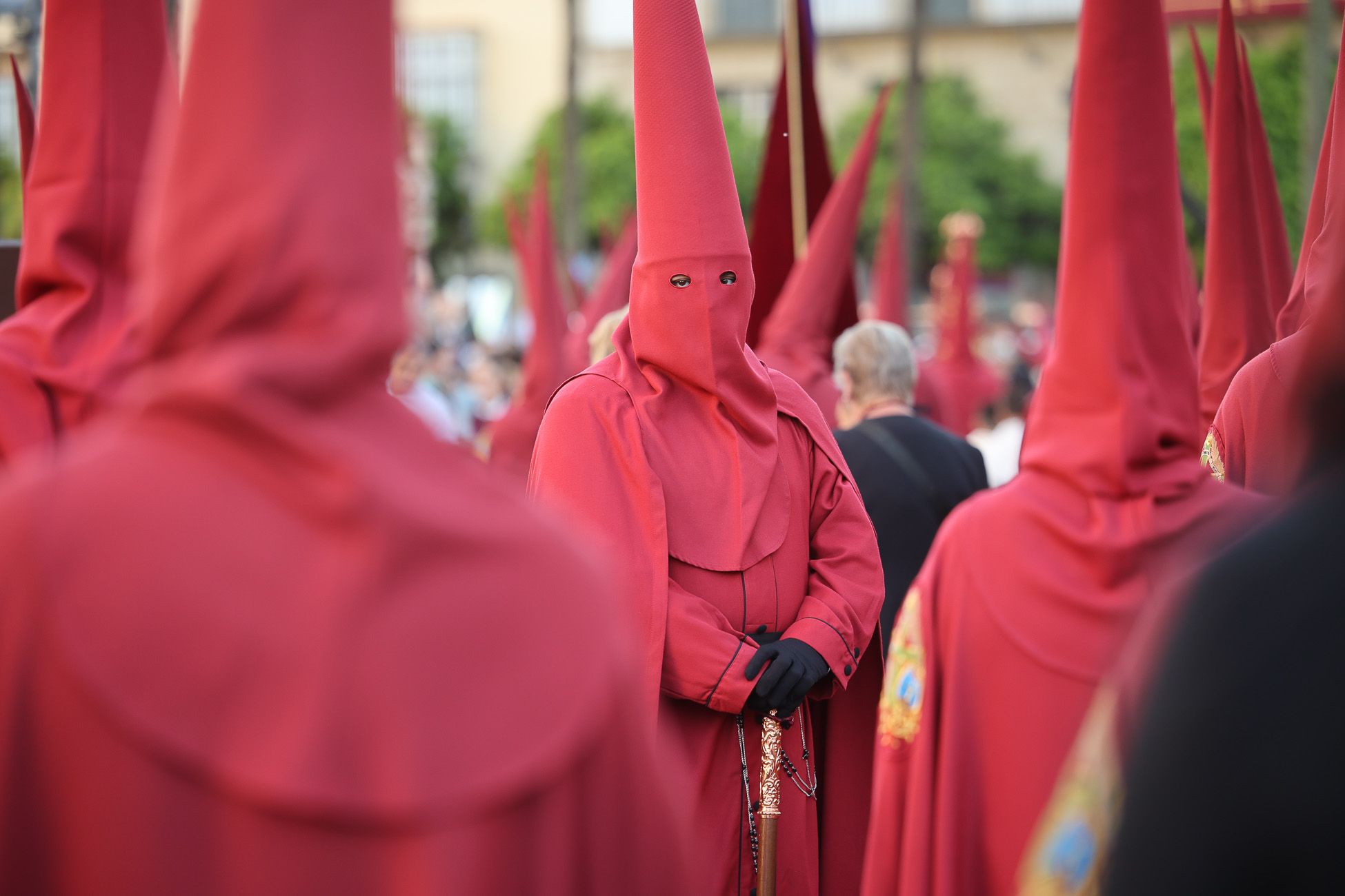 La hermandad de la Salvación, este Martes Santo en Jerez