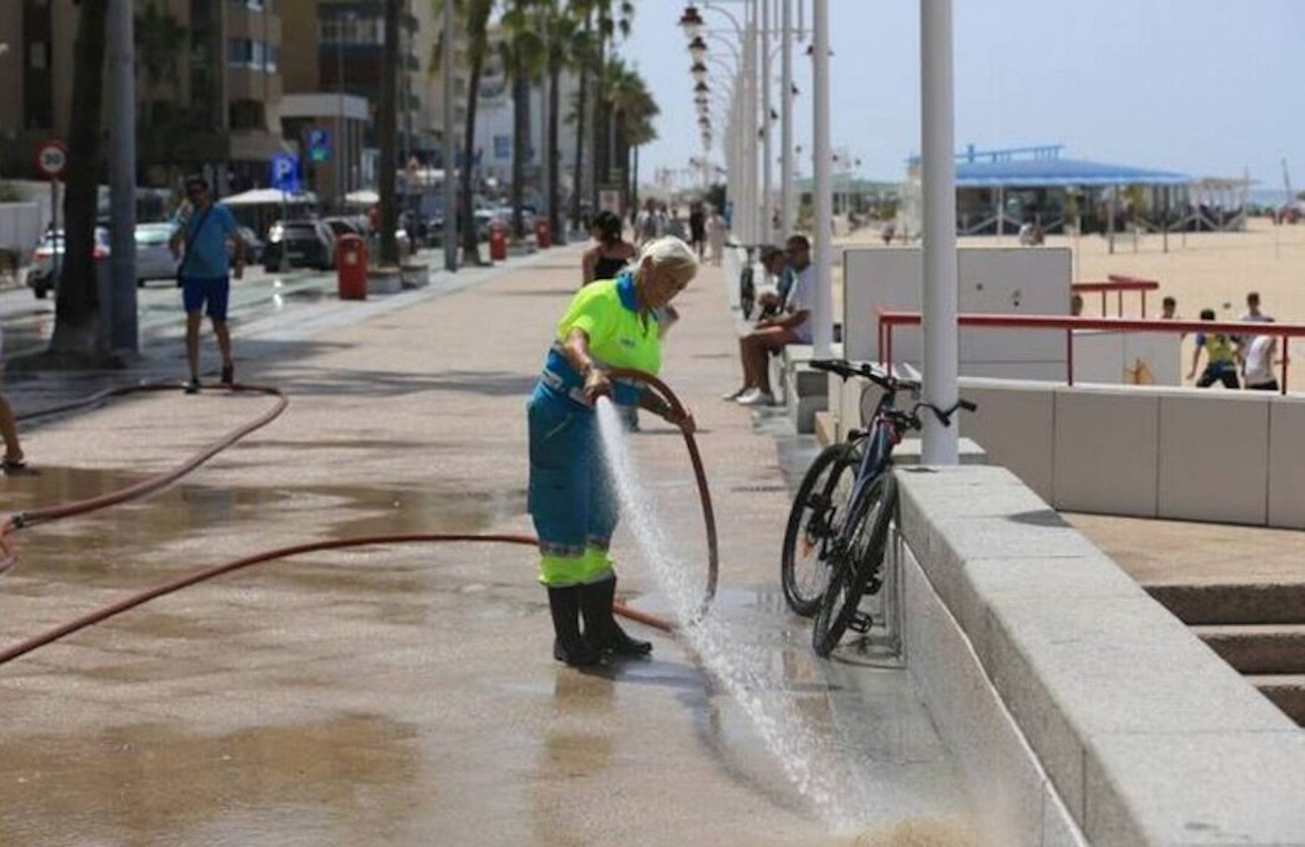 Arranca la campaña de desinsectación en Cádiz.