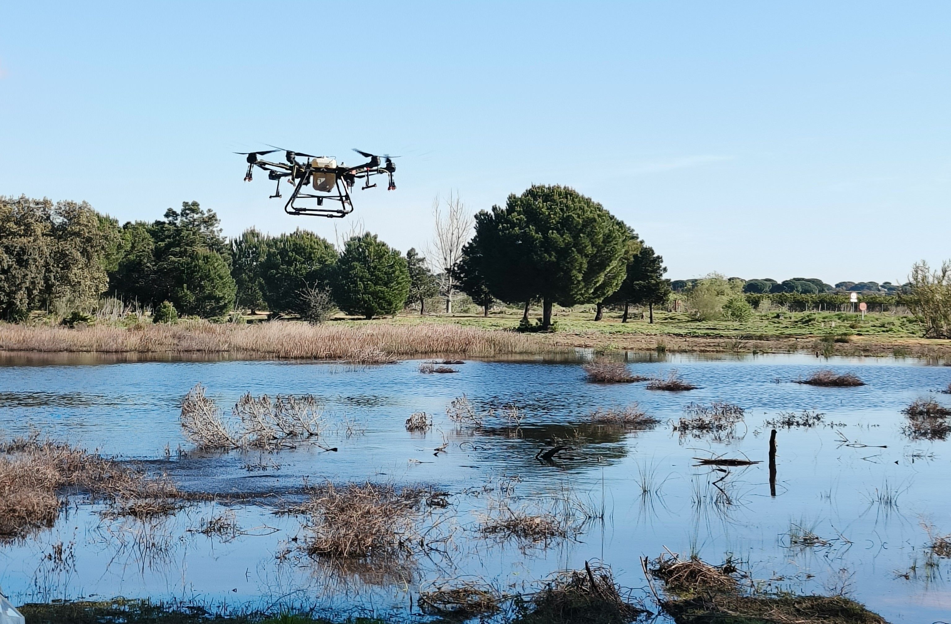 Tratamiento de larvas con drones, una de las medidas adoptadas en el plan anticipado de la Diputación de Sevilla contra el mosquito portador del virus del Nilo.