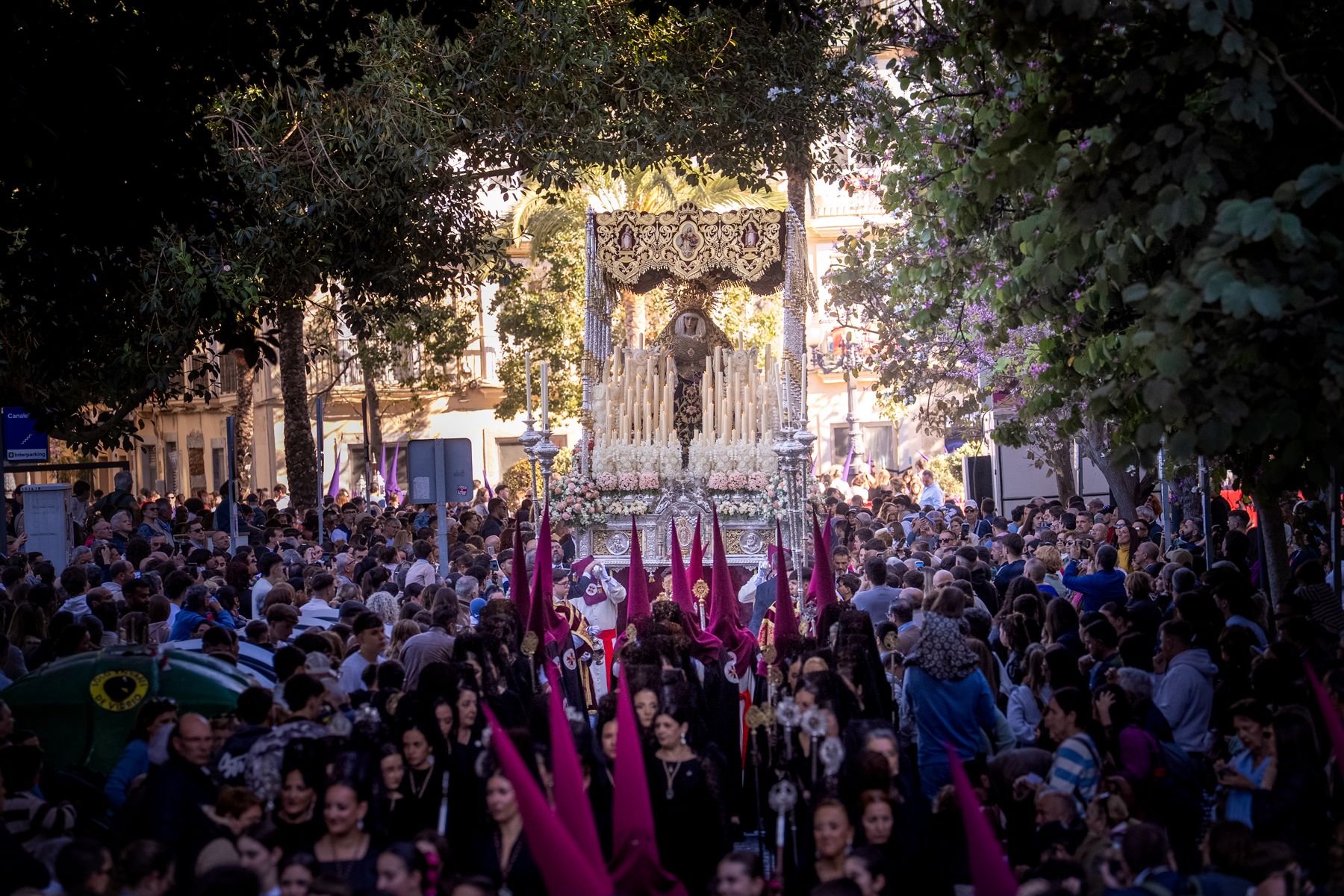 Las imágenes del Miércoles Santo de Cádiz.