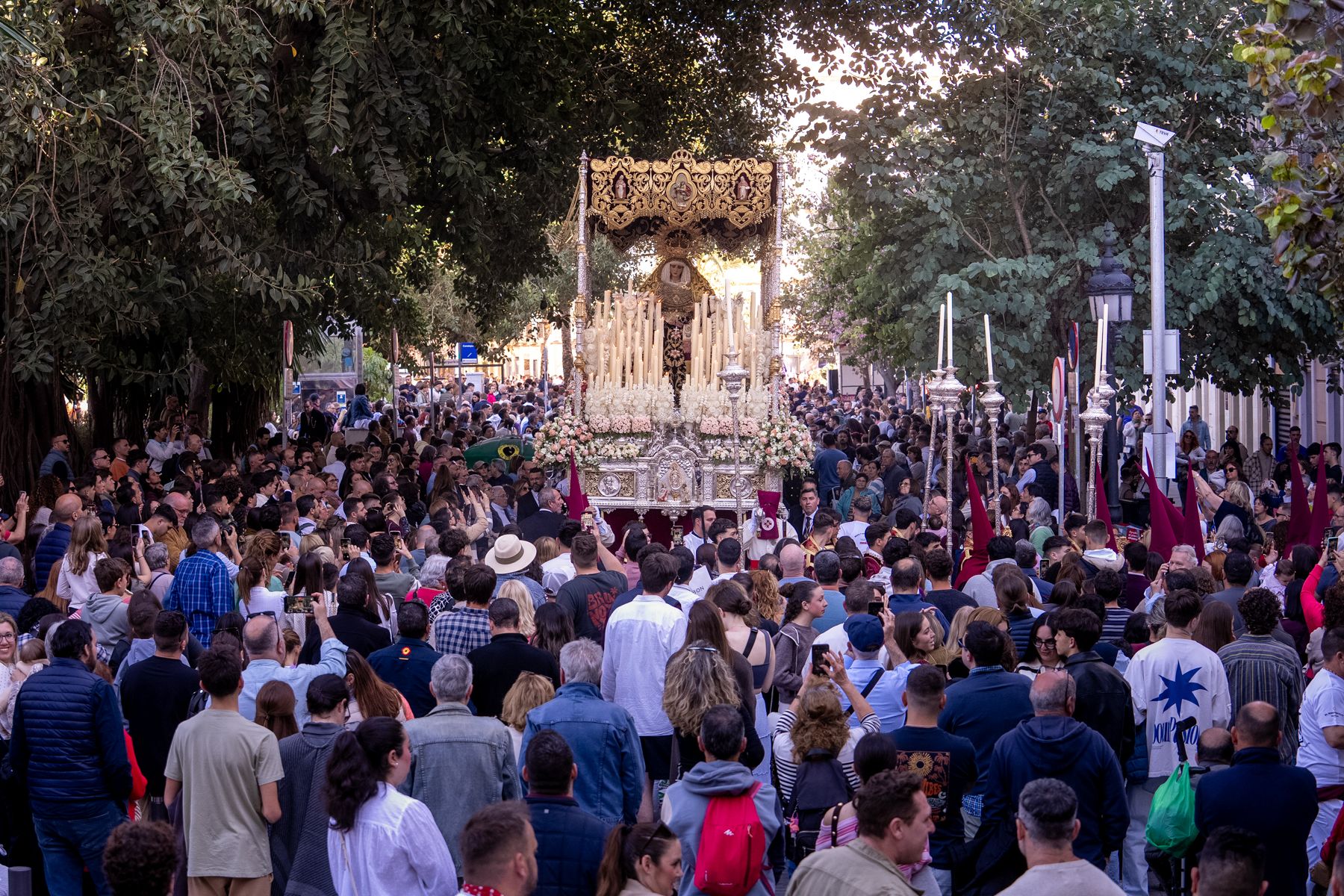Las imágenes del Miércoles Santo de Cádiz.