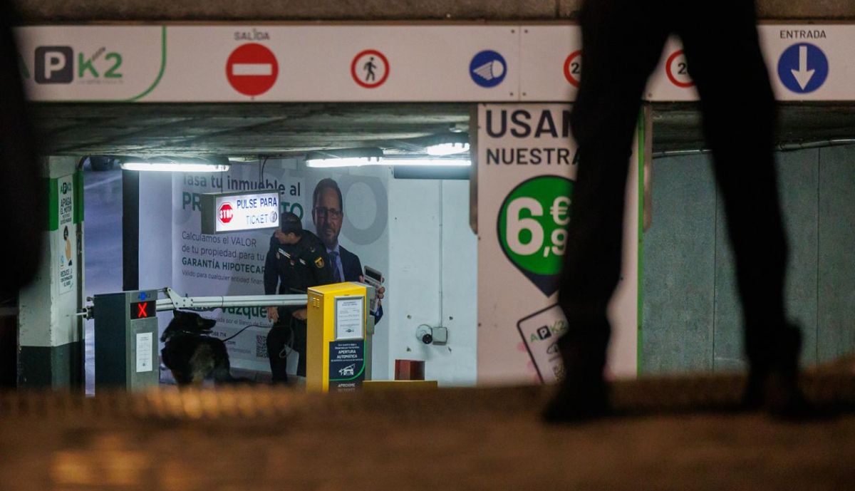 Entrando con un perro en el parking.