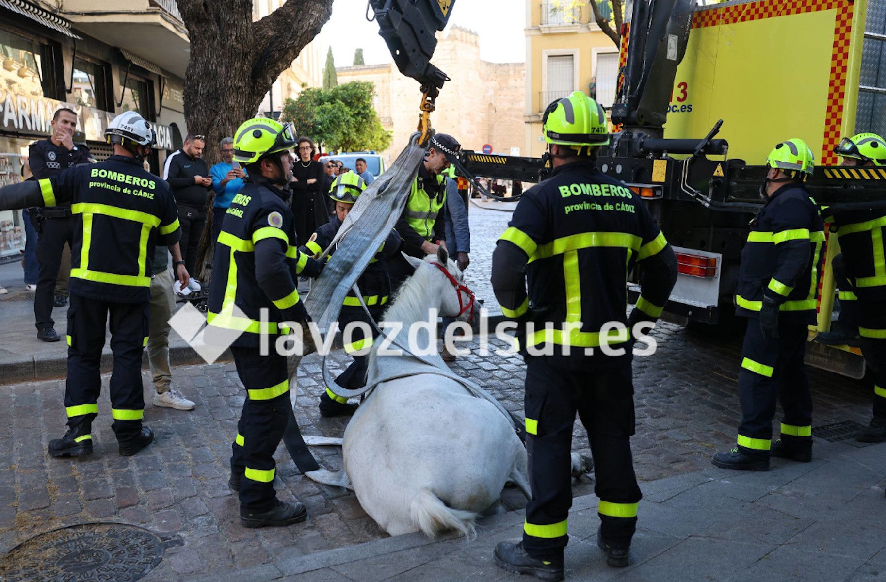 Los bomberos levantan a un caballo tra sufrir una caída en Jerez.