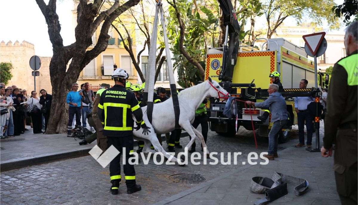 Así ha sido la intervención de los bomberos.